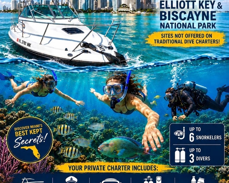 Private Scuba & Snorkel Charter in Biscayne National Park