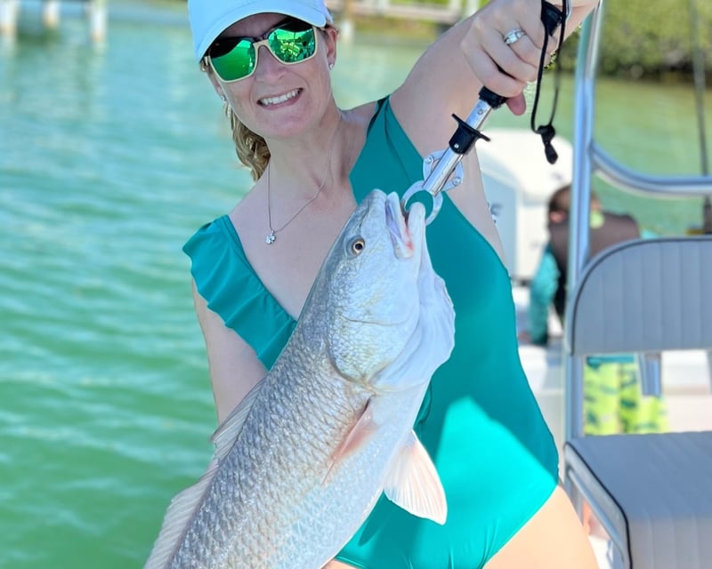 Sarasota 4-Hour Fishing Charter