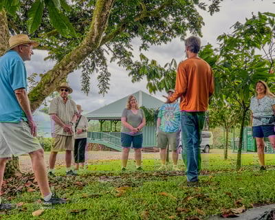 Hilo Cacao Farm Tour with Single-Origin Tasting