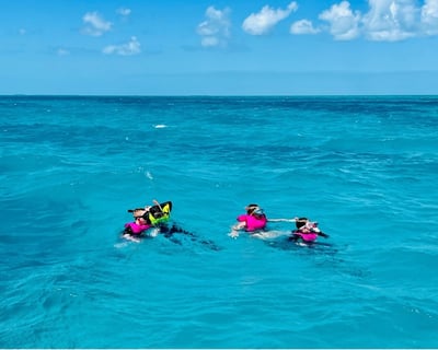 Key West Dolphin Watching & Snorkeling Charter