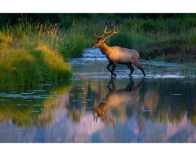 Sunrise or Sunset Guided Tour in Grand Teton