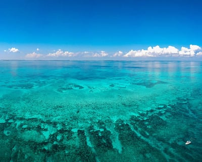 Private Snorkeling Charter in Key Largo