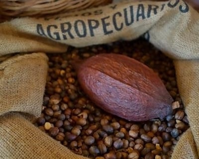 Puerto Rican Coffee Plantation Tour From San Juan