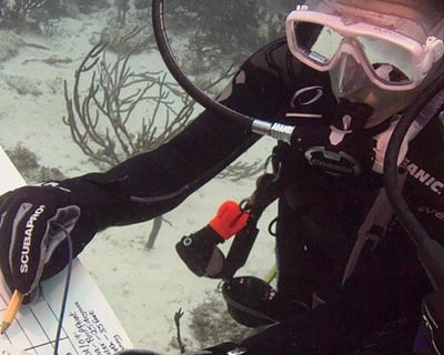 Underwater Naturalist Diving Course in Miami