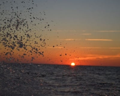 Winyah Bay Sunset Cruise