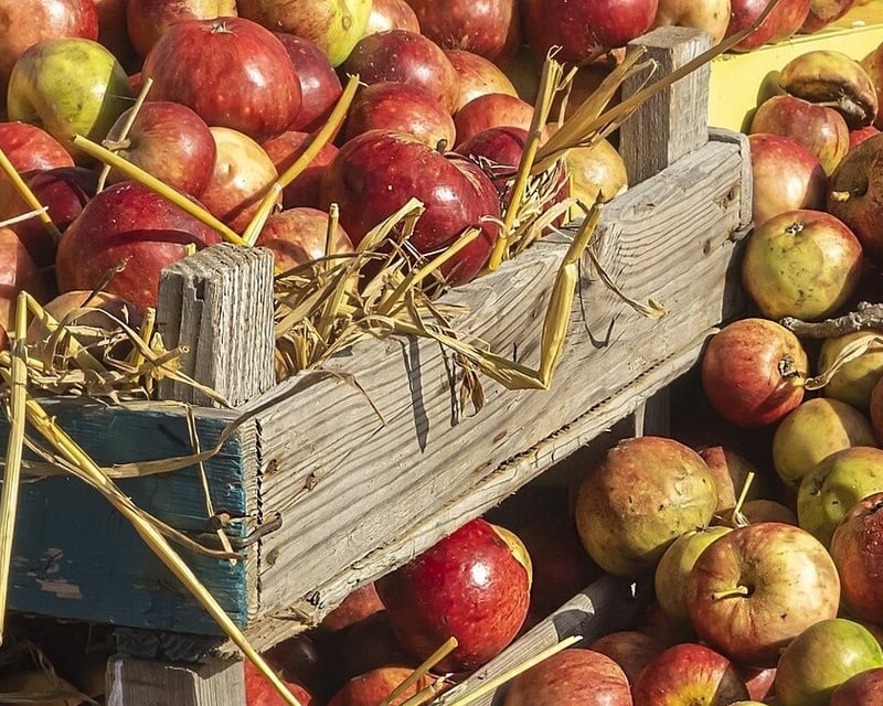 Hudson Valley Cider & Wine Tasting Cruise in Kingston