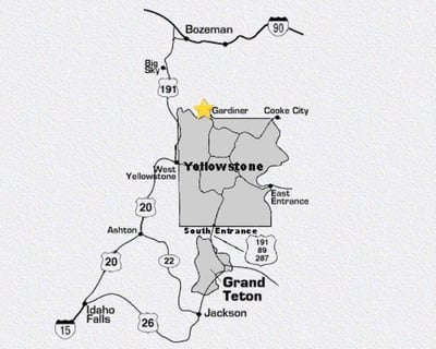 Yellowstone Full-Day Guided Tour