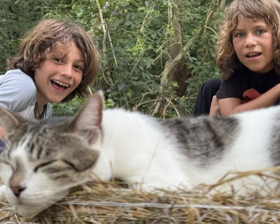 3-Hour Kids Farm Adventure in Aguadilla