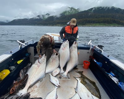 7-Hour Halibut & Salmon Charter From Homer