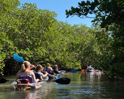 Guided Clear Kayak Tour in Vero Beach