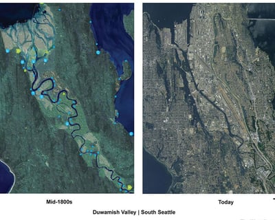 Guided Duwamish River Kayak Tour in Seattle