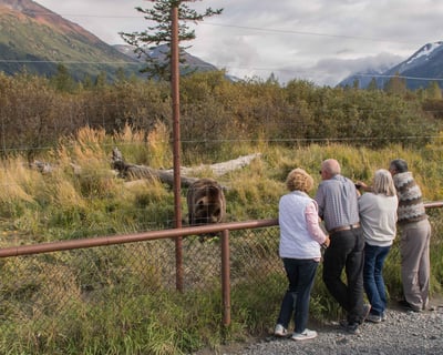 Anchorage Alaska Wildlife Conservation Center Tour