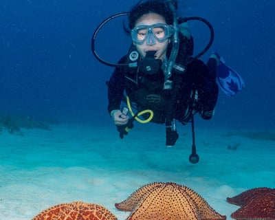 Open Water Scuba Certification Course in Bayahíbe