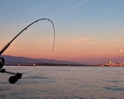 Afternoon Inshore Fishing Charter in Gulf Breeze