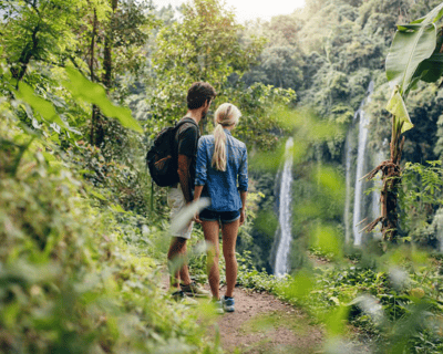 Hike Into Heritage Rainforest Hike, Waterfall Swim & Culture Tour