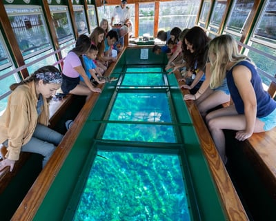 Glass Bottom Boat Tour & Brunch in Silver Springs
