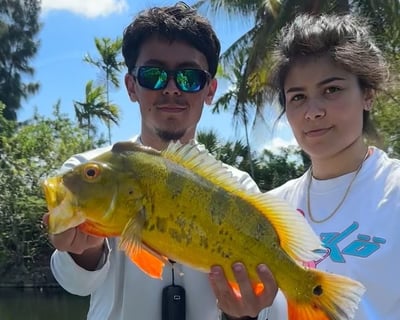 Fish Miami Canals on a 4-Hour Guided Trip