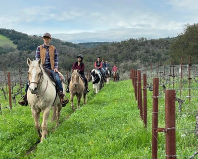 Sonoma Valley Trail Ride with Wine Tasting
