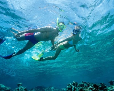 Snorkel & Ocean Waterpark Tour in Waikiki