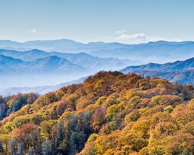 Full-Day UTV Rental: Open to Close