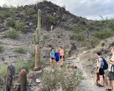 Family Fun Guided Hike in the Sonoran Desert