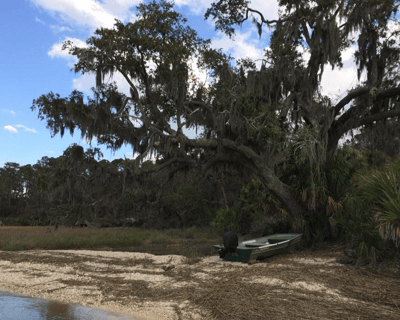 Barrier Island Beach Drop to Little Tybee From Savannah
