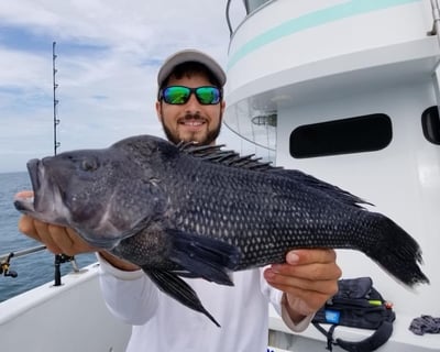 Fish For Sea Bass In Virginia Beach
