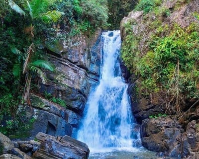 El Yunque & Fajardo Bio Bay Kayak Tour