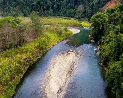 Guided Rainforest Fly Fishing in Quepos