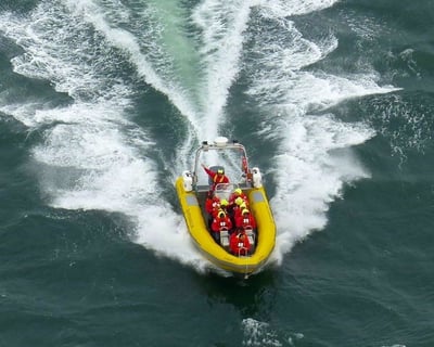 San Francisco Bay 90-Minute Excursion