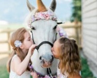 Kids Pony Party at Firefly Horse Co.