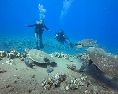 Beginner Scuba Diving Lesson in Kaanapali