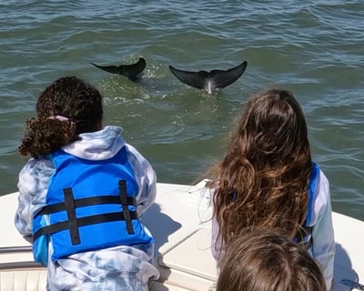 Private Dolphin Charter on Hilton Head Island