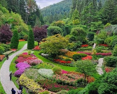 Explore Victoria & The Butchart Gardens 4-Hour Tour