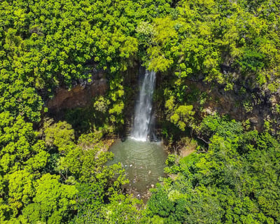 Secret Falls Kayak Rental on Wailua River