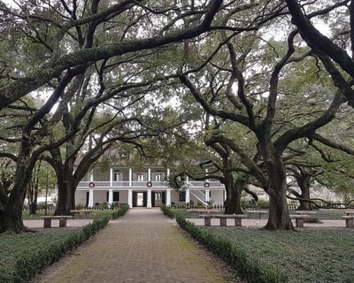 Whitney Plantation Audio Tour & Swamp Cruise in Louisiana