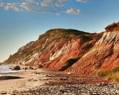 Explore Martha’s Vineyard on a Private 3-Hour Tour