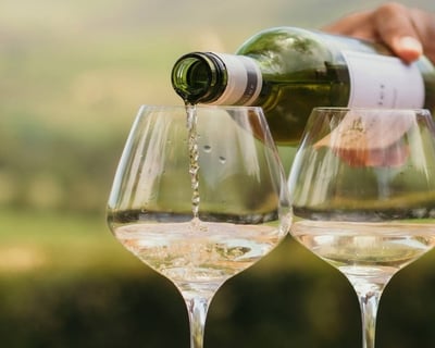 Full-Day Cape Town Wine Tasting Tour