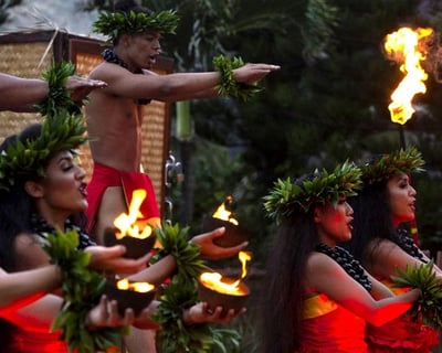 Waimanalo Luau with Buffet & Sea Life Park Pass