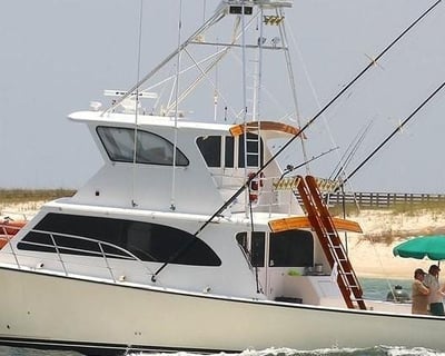 12-Hour Private Fishing Charter in Orange Beach