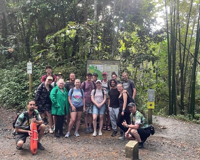Guided Twilight Nature Walk in El Yunque