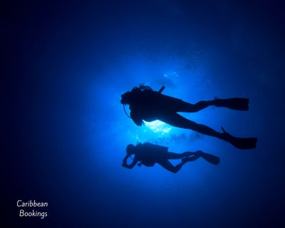 Guided Night Dive in Rincón