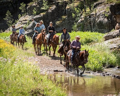 Two-Hour Trail Ride in Custer State Park