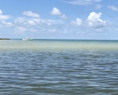 Fort Myers Beach Tiki Cruise