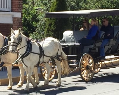 Ride a Private Horse-Drawn History Tour in Lexington