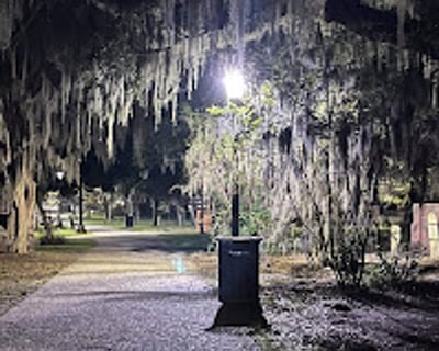 Private Savannah Tour