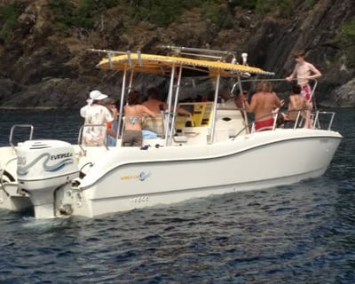 4-Hour Snorkeling Charter to St. John