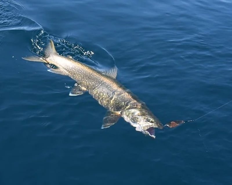 Half-Day Lake Superior Fishing Charter near Munising