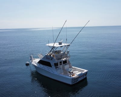 Full-Day Fishing Charter in Los Barriles
