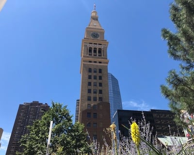 Private Denver History Tour with Local Guide